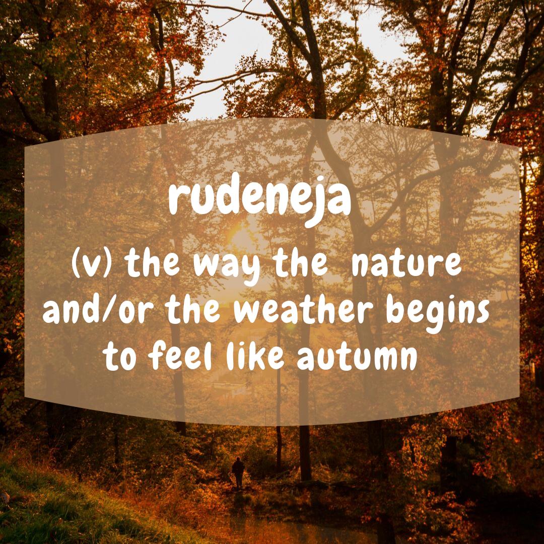 FolteneUK's tweet photo. rudeneja - (v) the way the nature and/or the weather begins to feel like autumn 

#autumnalfeel #october2019 #leaves #flower #picoftheday #folteneuk#hotchocolate #warm #cold #foltene #hairlossproducts #selfconfidence
 #strongwomen https://t.co/3eW0hq5nw8