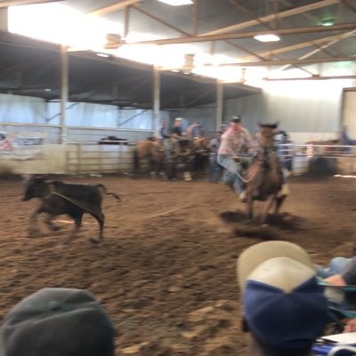 calfroper23's tweet photo. #NewProfilePic https://t.co/S04tnBxIGs