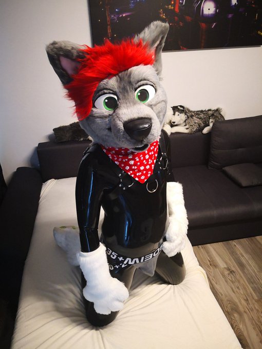 Do you like rubber mixed with fursuit or do you prefer just fursuit?  #nsfw #rubber #murrsuitmonday #paws<a href="/tag/rubber"class="tags"><span>#rubber</span></a><a href="/tag/paws"class="tags"><span>#paws</span></a><a href="/tag/nsfw"class="tags"><span>#nsfw</span></a><a href="/tag/bulge"class="tags"><span>#bulge</span></a><a href="/tag/murrsuitmonday"class="tags"><span>#murrsuitmonday</span></a>
