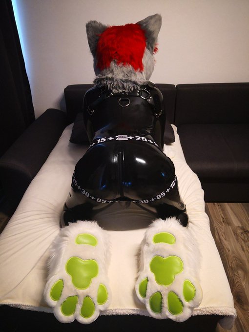 Do you like rubber mixed with fursuit or do you prefer just fursuit?  #nsfw #rubber #murrsuitmonday #paws<a href="/tag/rubber"class="tags"><span>#rubber</span></a><a href="/tag/paws"class="tags"><span>#paws</span></a><a href="/tag/nsfw"class="tags"><span>#nsfw</span></a><a href="/tag/bulge"class="tags"><span>#bulge</span></a><a href="/tag/murrsuitmonday"class="tags"><span>#murrsuitmonday</span></a>