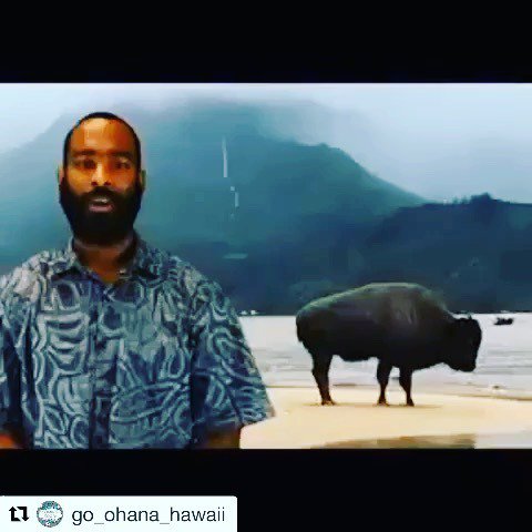 Pacific_Force's tweet photo. Happy Customer Service Appreciation Week! Here is a message from our Director of Sales - Hawaii. @mcollins_22 @pacific_force @jm847w #ohana #pacificforce #lbe #theherd #Repost @go_ohana_hawaii with @get_repost https://t.co/OjFvQTlY91 https://t.co/RZ6OeDFnrj