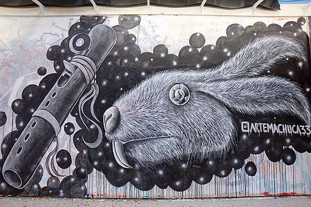 LocalColorSJ's tweet photo. Miguel Machuca’s contribution to #Gallery408 💫 Happy #MuralMonday ; Take a stroll today and see one of the many murals in our beautiful city!
#sanjose #localcolorsj #fundpublicart 📸 by j_hnnyr https://t.co/q0fd0g0tFO
