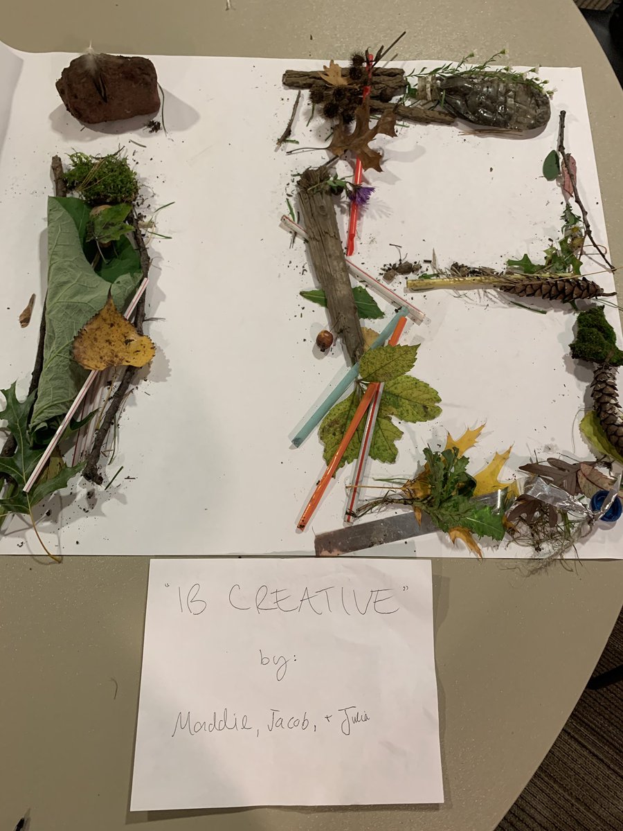 TonkaIB's tweet photo. Fantastic IBDP Senior retreat today being active, creative, and considering about who we are!! #IBcreative #mhsmindfulness @TonkaPrincipal https://t.co/Xibtfl2j1h