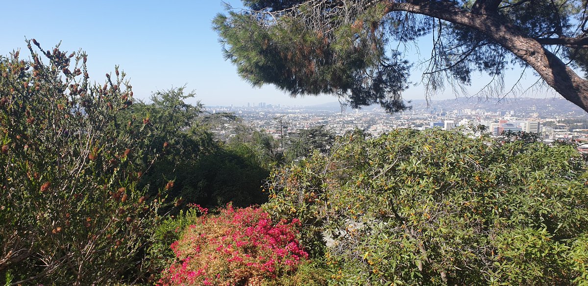 _ninininini's tweet image. Morning LA ❤