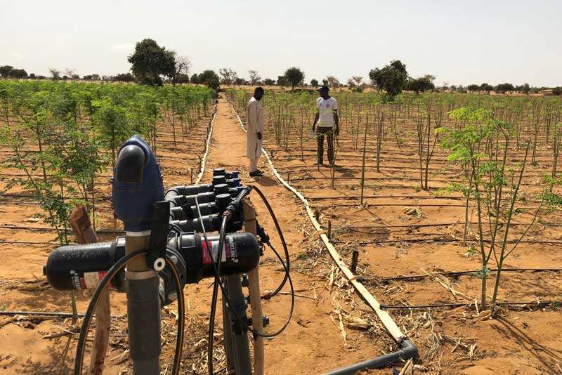 WBG_Environment's tweet photo. Water is a human right 💧. But for people living in arid areas 🏜️, #waterscarcity is a major challenge. Find out how @IFC_org is building a climate-resilient future for #Niger. https://t.co/IEs11qjaV5 | #DFFAfrica https://t.co/gdf9vhWbjC