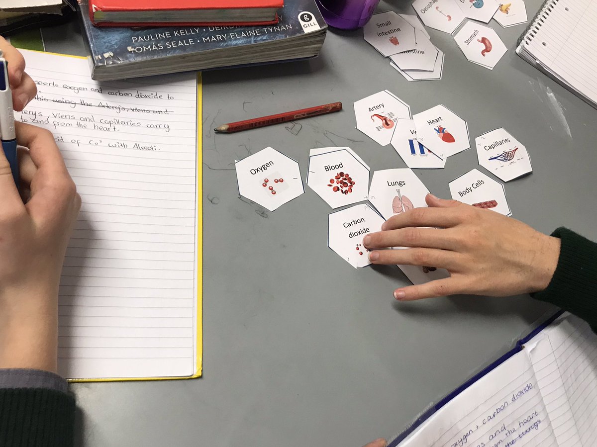 Making links between circulatory, respiratory and digestive systems using hexagon links.  Students must explain why hexagons are adjacent. Thanks to Sinead <a href="/hexagonlinks/">Sinead Kelly Townsend</a> for the idea. #BW4 #jcscience #edutwitter. Similar to <a href="/JctScience/">JCT Science</a> resource.
