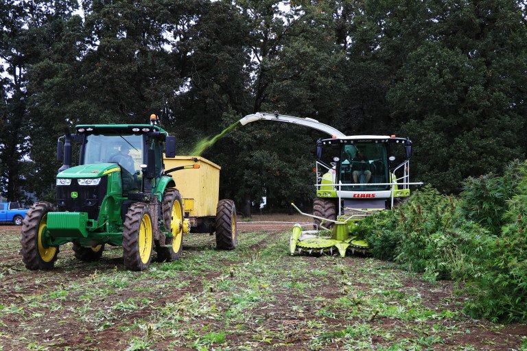 From hops to hemp: Farmers look to cash in on CBD craze 

koin.com/news/special-r… #MME #Hemp #Hempoil #CBD #Hempseeds