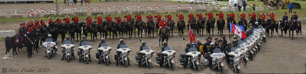 arvopi's tweet photo. Visit to the 2019 Markham fair celebrating 175th year had a few special visitors the RCMP Musical ride and the OPP golden Helmet Precision Motorcycle team. Joined by 4 members of the York Region Police Mounted Unit #RCMP #OPP #Yorkregionpolice. I managed photo them https://t.co/41jIrjph2t