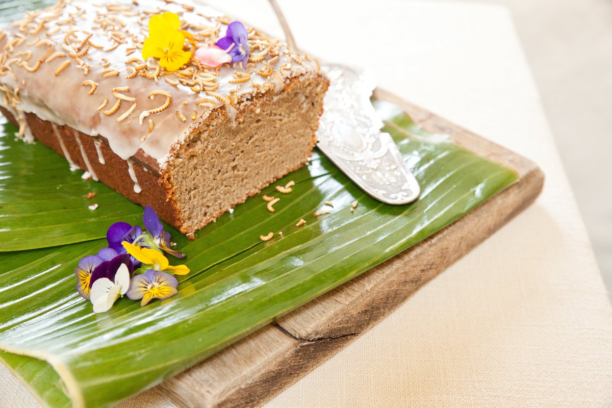 bugfarmfoods's tweet photo. It's definitely the weather for a large slice of CAKE! Have you tried the buffalo banana bread recipe on our website? We think that it is scrumptious! #foodofthefuture #cookbakecreate #entomophagy #edibleinsects #bugfarmfoods #cake #baking #GBBO2019 #GBBO #foodie #FoodIsGREAT https://t.co/8CfCxsXXZ9