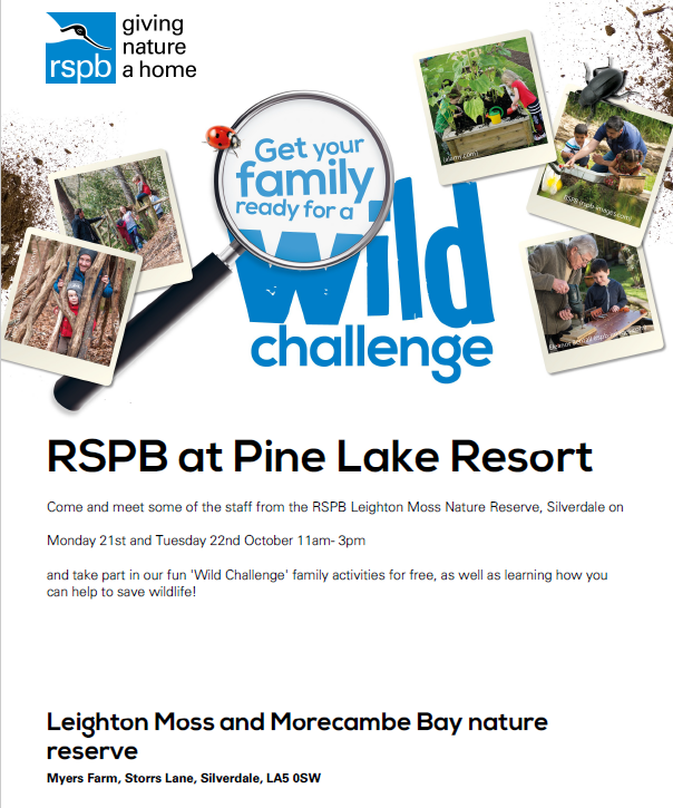 RecVickyt's tweet photo. Make sure you pop along to this if you are staying @PineLakeResort #RSPB #DRIexperience #LeightonMoss https://t.co/oWTOeLRiUR