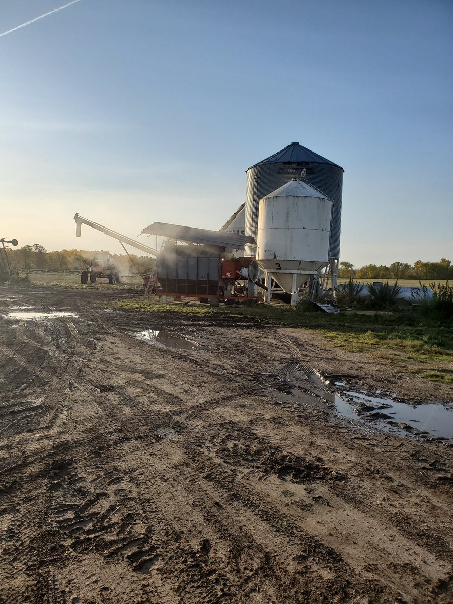 philip_buhler's tweet photo. Got the old dryer making steam this morning. may be small but its paid for long ago. #harvest19 #farmfans #doesthejob https://t.co/Eqgipf1eUz