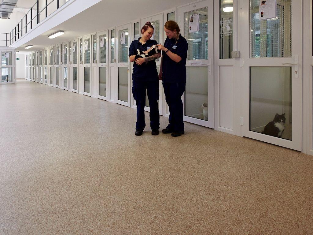 CFJMagazine's tweet photo. Polysafe Mosaic flooring for the RSPCA in Bury and Oldham, done by Polyflor Limited. Take a look at our flooring library for more inspiration #flooring @RSPCA_official @Polyflorltd #inspiration #flooringlibrary #flooringideas ππ‘ https://t.co/hgqFuGP31v