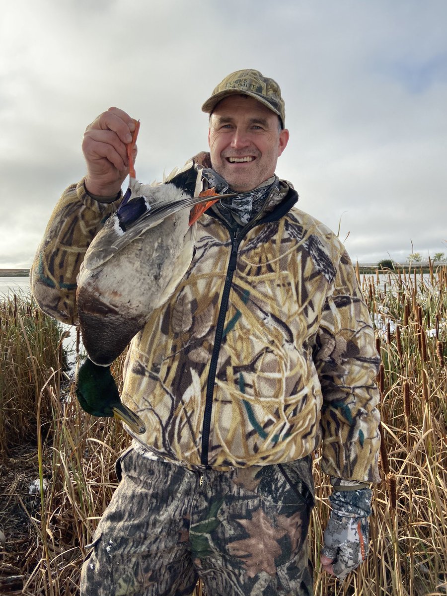 devilslakeguide's tweet photo. Think GREEN! Love Mallards... https://t.co/cnIvs3MfEO