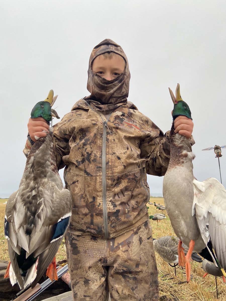 devilslakeguide's tweet photo. Think GREEN! Love Mallards... https://t.co/cnIvs3MfEO