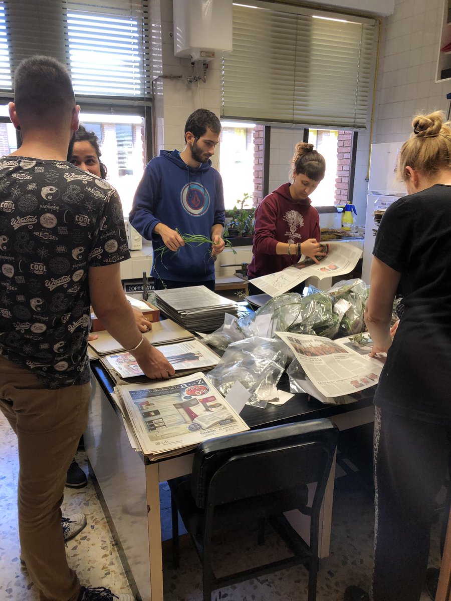 CarmenAcedo's tweet photo. Great first weeks on #TaCoBi #FCCBA @unileon with #DandIDVascularFlora #MScEEAFF - The class is 6 this year. Here in the wellkomme day, and sampling and lab sessions. Our goal will be to keep everyone engaged & learning all the year. Watch this space❗️ https://t.co/tVLmRcsi2v