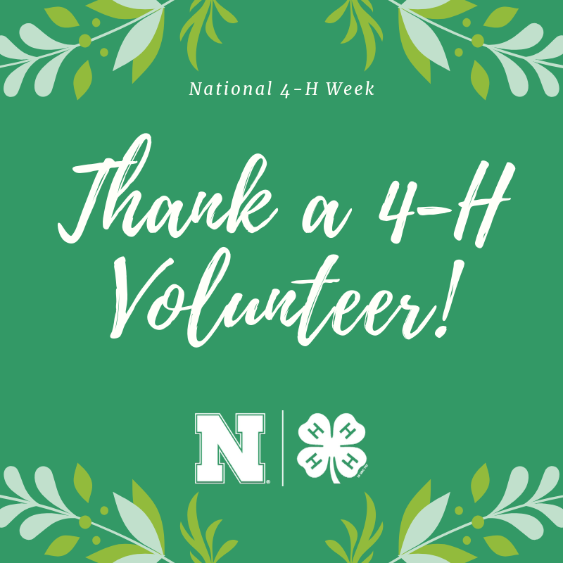 Nebraska4H's tweet photo. As part of National 4-H Week, we’re celebrating our 4-H volunteers! Celebrate with us by thanking the 4-H volunteers, club leaders, and project leaders in your life! Whether you’re a 4-H’er, parent, alumni, or 4-H professional, take a moment today to show them your appreciation! https://t.co/yZd2dy9aV3