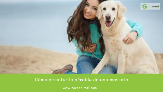 ZocoAnimal's tweet image. Cómo afrontar la pérdida de una mascota
ow.ly/x5U030pDxjP

#alimentacion #mascotas #tiendaonline #premium #perdida