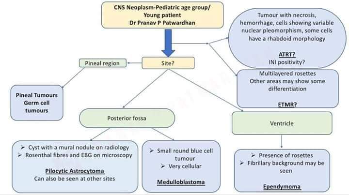 pranavp01's tweet image. Algorithmic approach to Neuropathology! 

#pathology #education