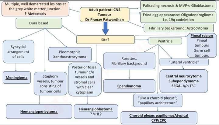 pranavp01's tweet image. Algorithmic approach to Neuropathology! 

#pathology #education