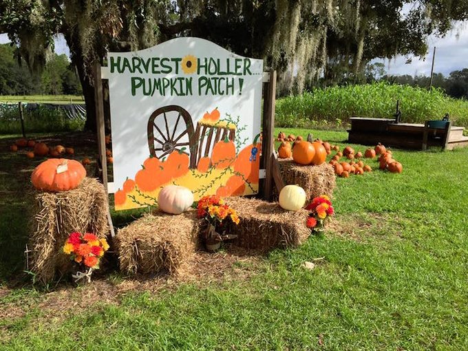 VisitCentralFL tweet picture