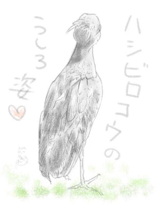 練習ですφ(..)
#絵 #ハシビロコウ #鳥 