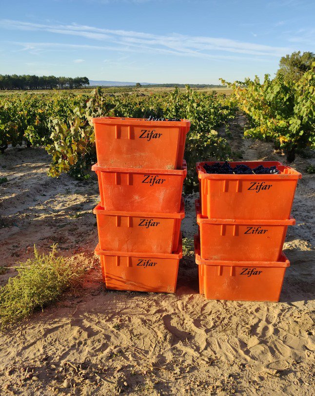 Bodegas Zifar tweet media