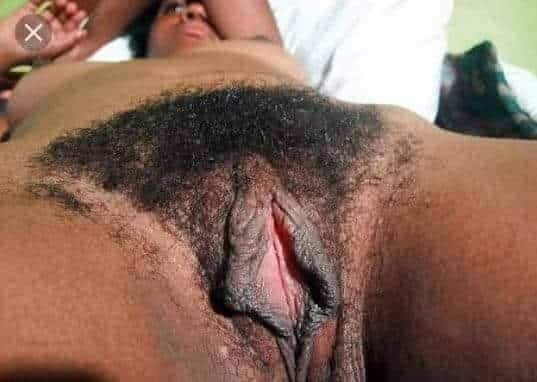 mingow damal tweet media