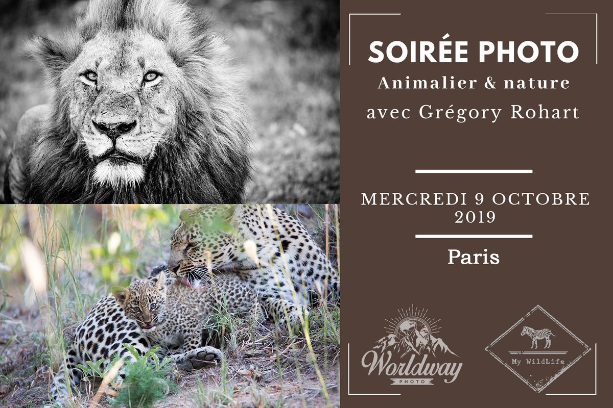 J-2 pour la soirée Photo à Paris avec <a href="/worldwayphoto/">Worldway photo</a>. Au programme, 6 voyages photos (Safari, Nature, Paysage et ornitho) en Inde, Camargue, Catalogne, Ecosse et Afrique du Sud. On vous réserve de belles surprises. Entrée gratuite. Inscription : eventbrite.fr/e/soiree-photo… 😀