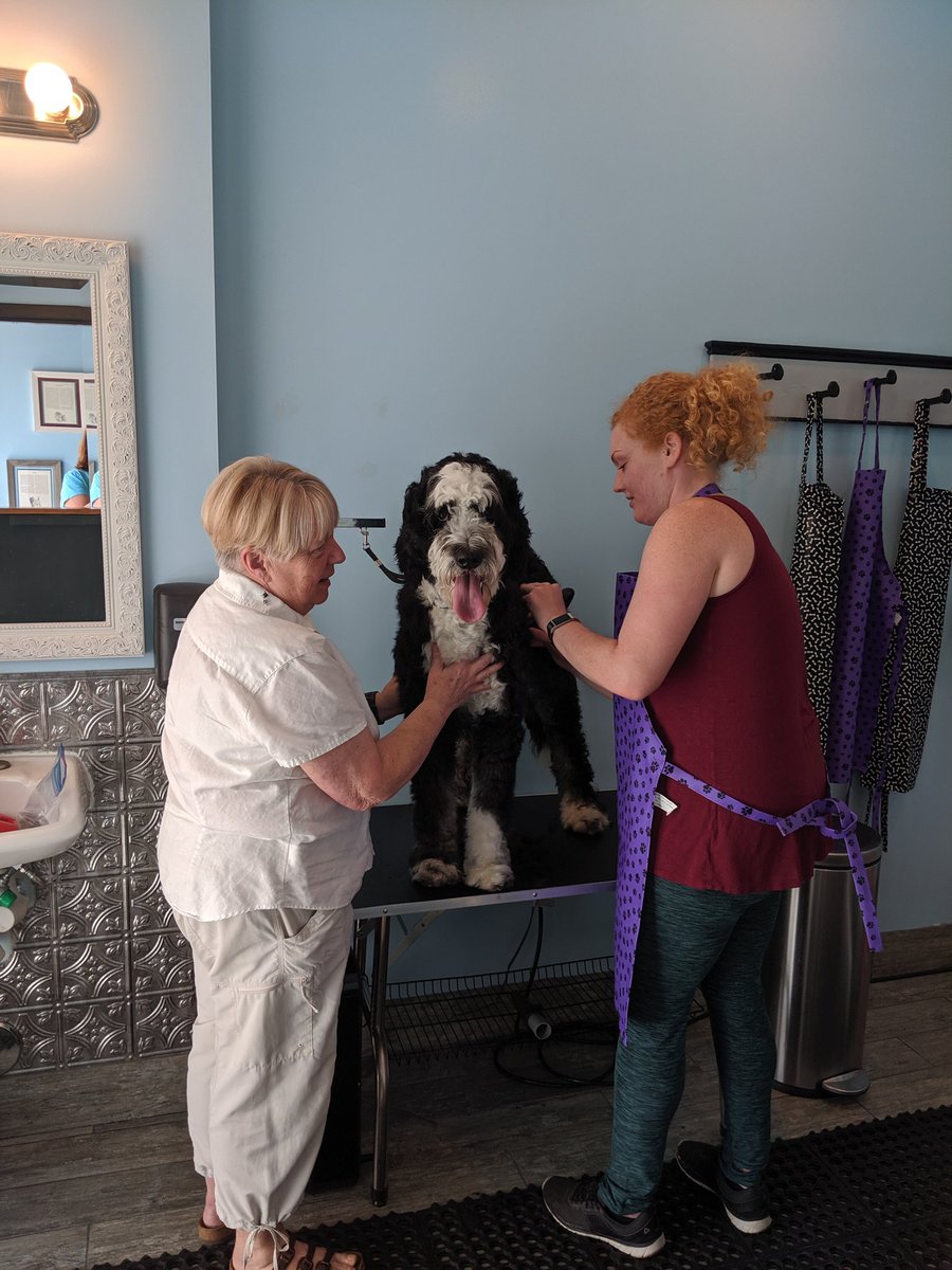 oliverscollar's tweet photo. Need a place to groom your dog? $18 for our dog wash whether you use the tub or not. Groom here, and leave the mess for us! https://t.co/ET6y0tadqT