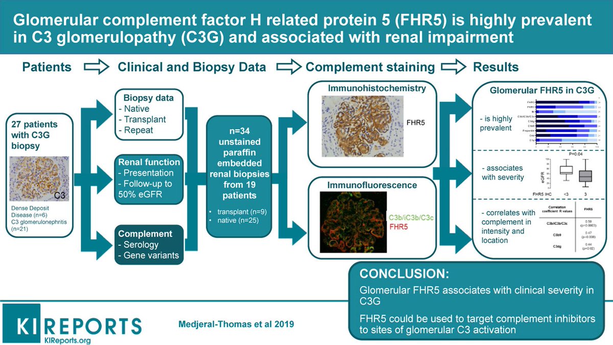 📖 For this weekend don't miss our <a href="/KIReports/">KIReports</a> #FridaySelection: Glomerular Complement Factor H–Related Protein 5 Is Highly Prevalent in C3 Glomerulopathy and Associated With Renal Impairment.

👉🏼 doi.org/10.1016/j.ekir…

<a href="/NickRhysMT/">Nick Medjeral-Thomas</a> <a href="/ImperialMed/">Imperial Medicine</a> #GraphicalAbstract #ThisIsISN