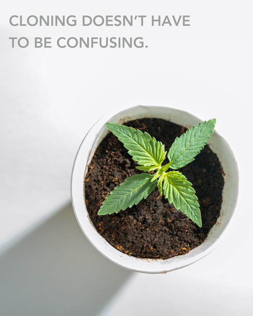 growlife's tweet photo. EZ- CLONE really is easy!
Click the link in our bio to shop!
#ezclone #growlife #clone #aeroponic https://t.co/OHUg1srW38
