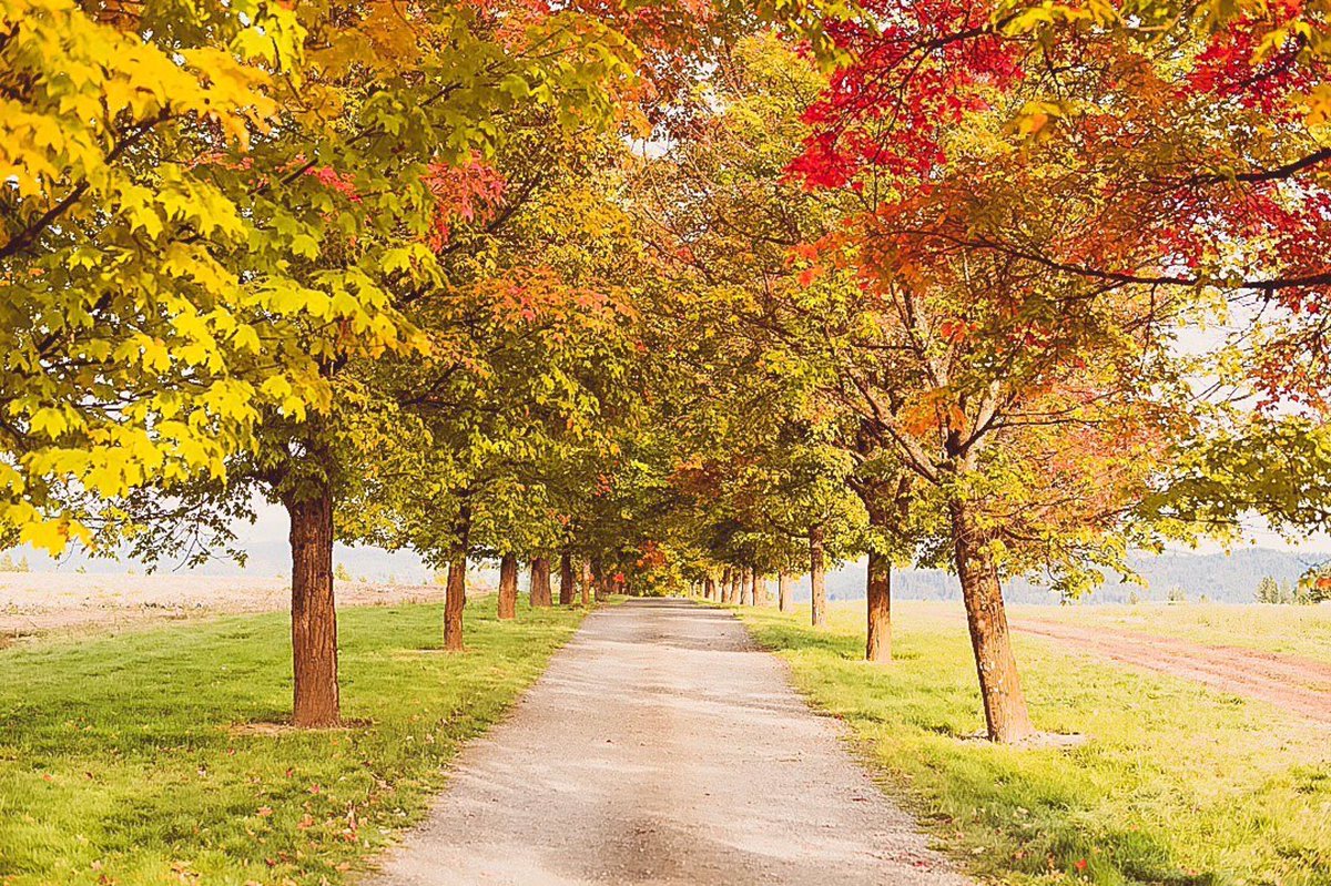 SpokanePulse tweet media