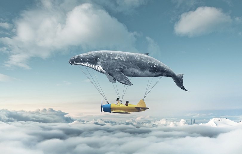 jeffbullas's tweet photo. 11 SEO Myths You Need To Stop Believing Today #SEO #search https://t.co/iM9TJQJ6wt https://t.co/zfwYT93lky