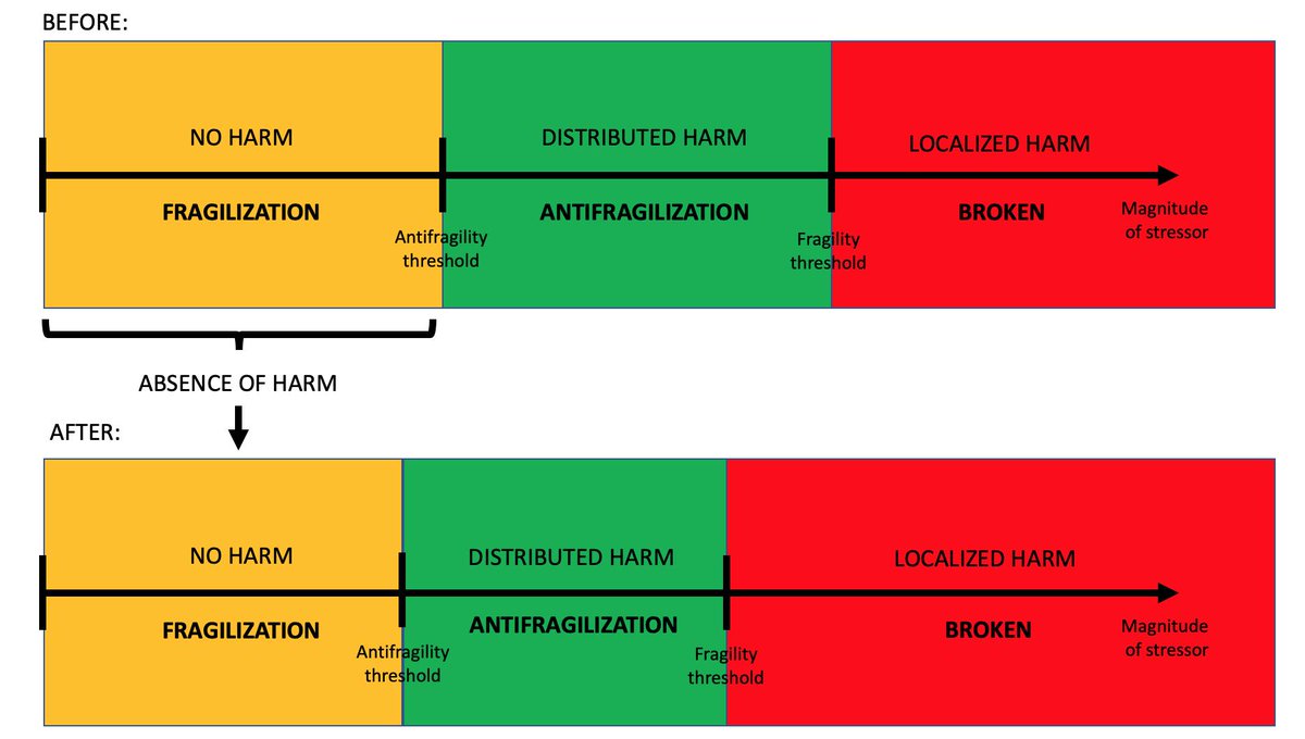 20/ OVEROPTIMIZATION and MALADAPTATION: an antifragile entity which, for a long period, does not receive any stressors above the antifragility threshold undergoes fragilization (it weakens and becomes more likely to break in the future).It adapts to the lack of stressors.