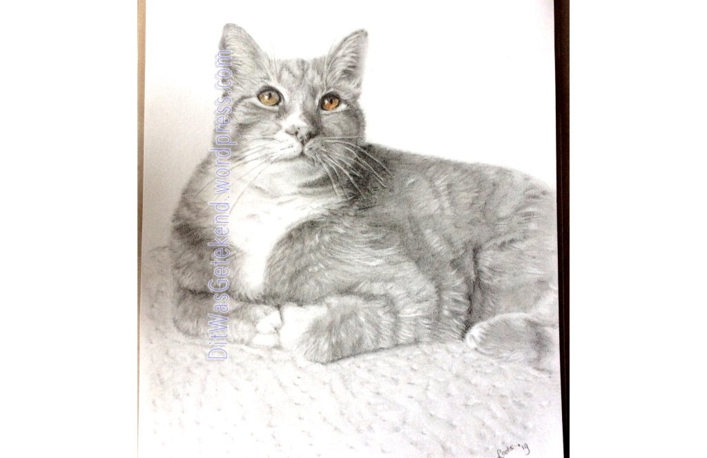 Ilovecolouring's tweet photo. Rode kat met mooie leeuwenogen https://t.co/J4B8Baayv7 https://t.co/fasahsL25h
