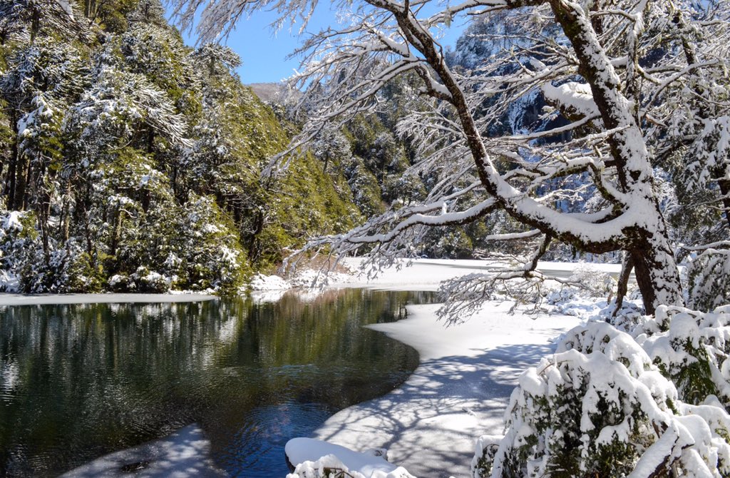 MahuidaRupu's tweet photo. ¡En nuestras expediciones podrás conocer paisajes que parecen sacados de un cuento! 🌳🌊❄️

#rüpumahuida #trekkers #nature #trekking #landscape #expedition #chile https://t.co/oHhFTYrdXI