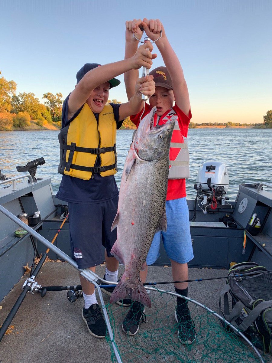 The signs of fall -- #ChinookSalmon returning to the #SacramentoRiver. These boys were treated to a school-night fishing trip last week  and had to take turns reeling in this  20-pound-plus Chinook salmon in order to  give their arms a rest and land the fish. Well done boys.