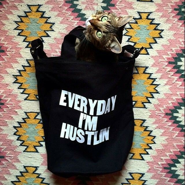 PaperJamPress's tweet image. #tbt to when every @paperjampress order came with a kitten 🐱. Just #joking. 🙏@katekoeppel for this awesome pic. ift.tt/2VlLapO