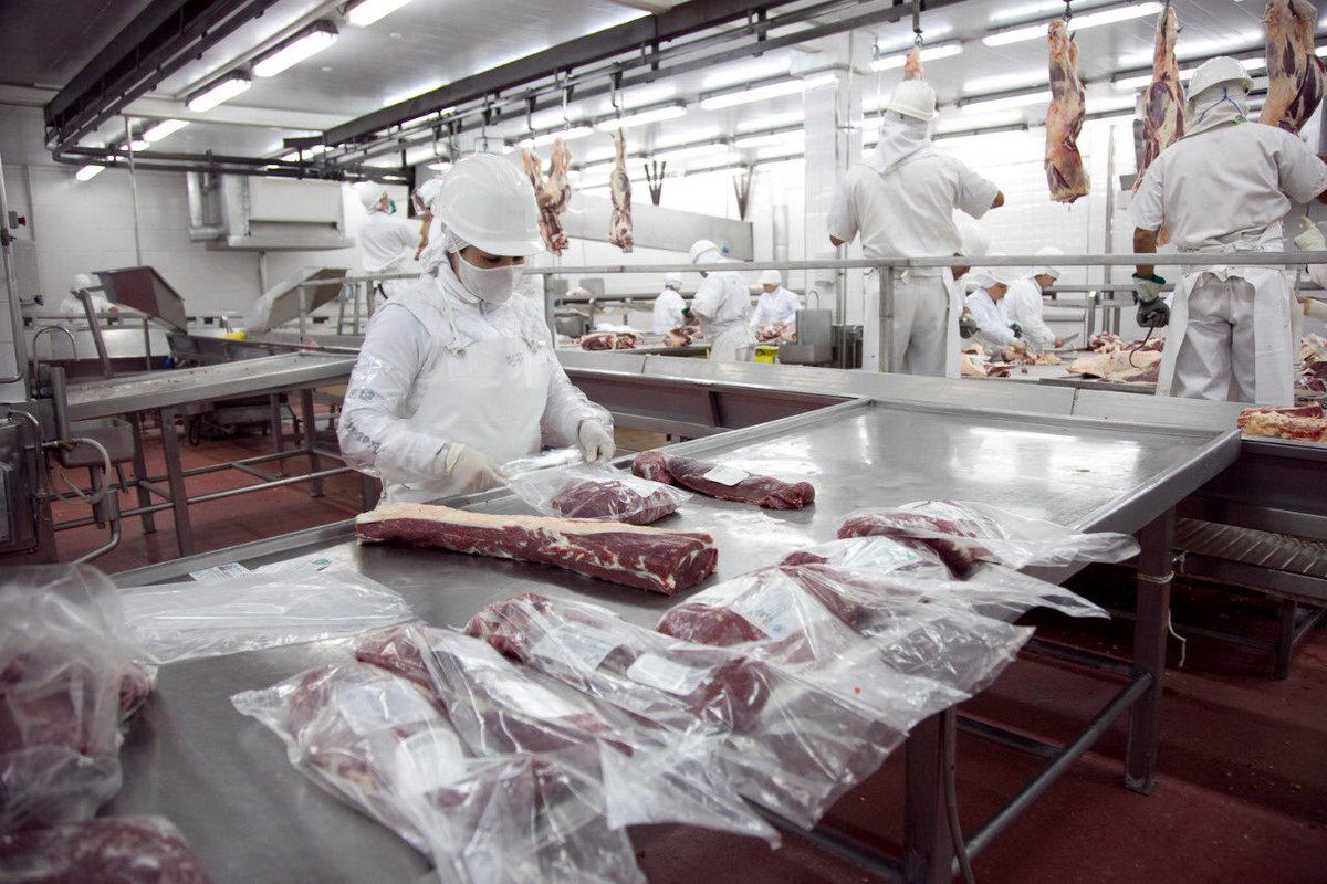 CINCO NUEVOS FRIGORÍFICOS HABILITADOS PARA EXPORTAR CARNE BOVINA A ESTADOS UNIDOS
Quickfood, Logros, Frigorífico Alberdi, Frigorífico Forresbeltrán y Azul Natural Beef ya pueden vender carne a Estados Unidos!! Un gran logro para seguir aportando crecimiento al sector 💪💪🇦🇷🇺🇸