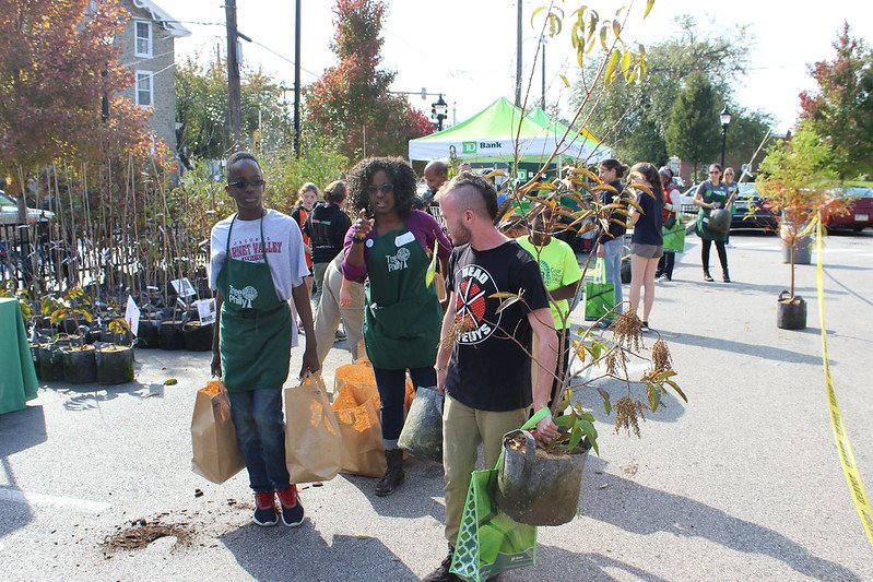 PhilaParkandRec's tweet photo. This fall, @TreePhilly is partnering with 20+ community groups around the city to give out free yard trees in those neighborhoods most in need of trees. Check out how residents are benefiting from tree giveaways, and find a giveaway event near you. ➡️  https://t.co/wQGkE5aW2o https://t.co/FvF7JXcJNF