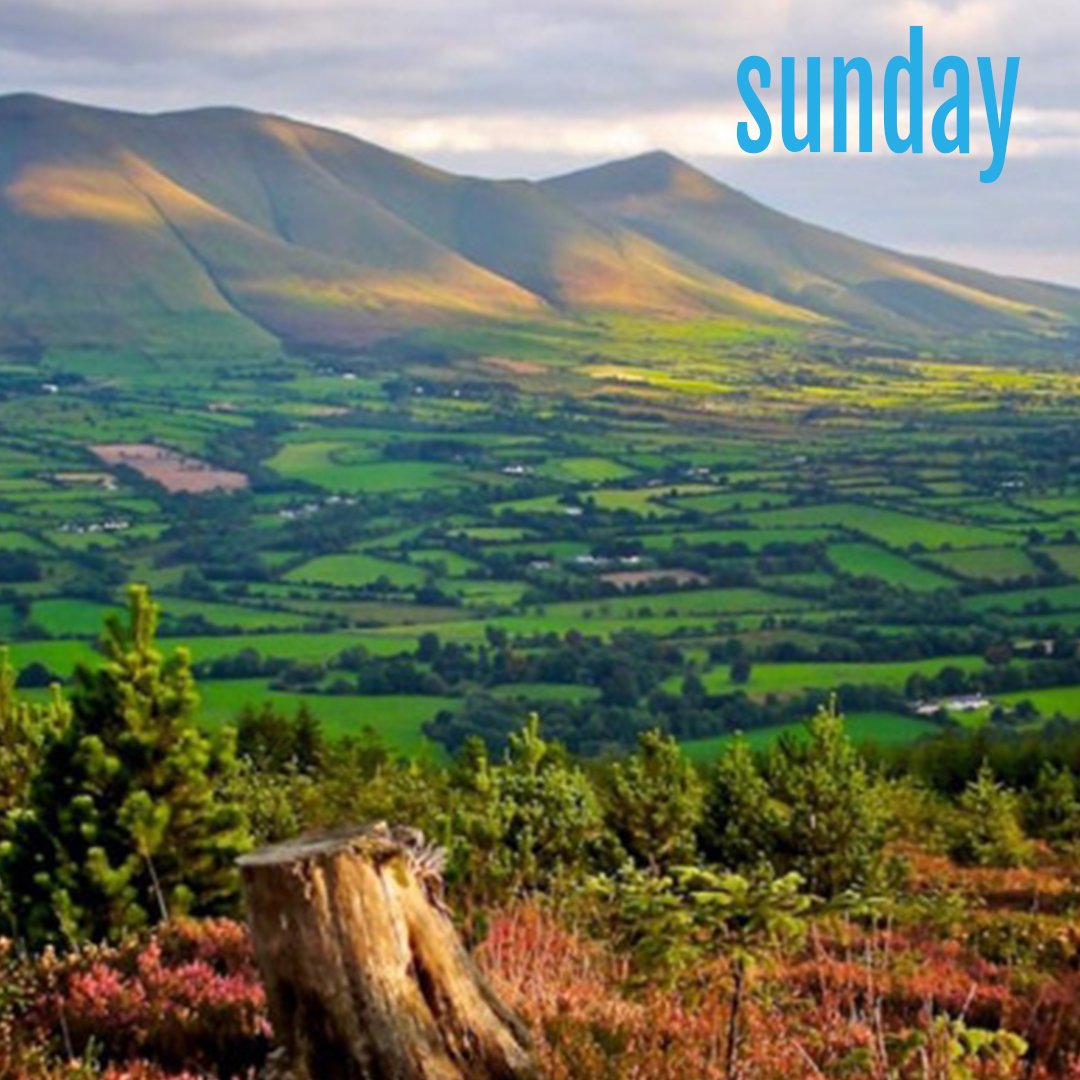 TDPdancefest's tweet photo. What better way to round off this amazing festival #TDP19 than a Guided Walk to chat with the friends you newly met, digest the stunning pieces you have just seen, and enjoy the scenery of the Glen of Aherlow, one of the gems of Irish landscapes. https://t.co/EEsJO9Lpuz