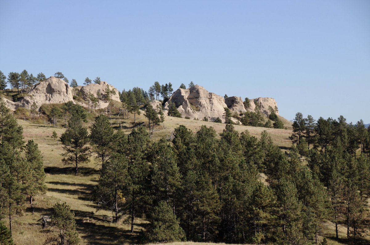 GretaThunberg's tweet image. Incredible honoured to visit Pine Ridge @tokata_ie and the Lakota people in their beautiful homelands. The #FridaysForFuture movement stand in solidarity with your struggles and hardships, and the struggles of all indigenous peoples in protecting their land, water and traditions.