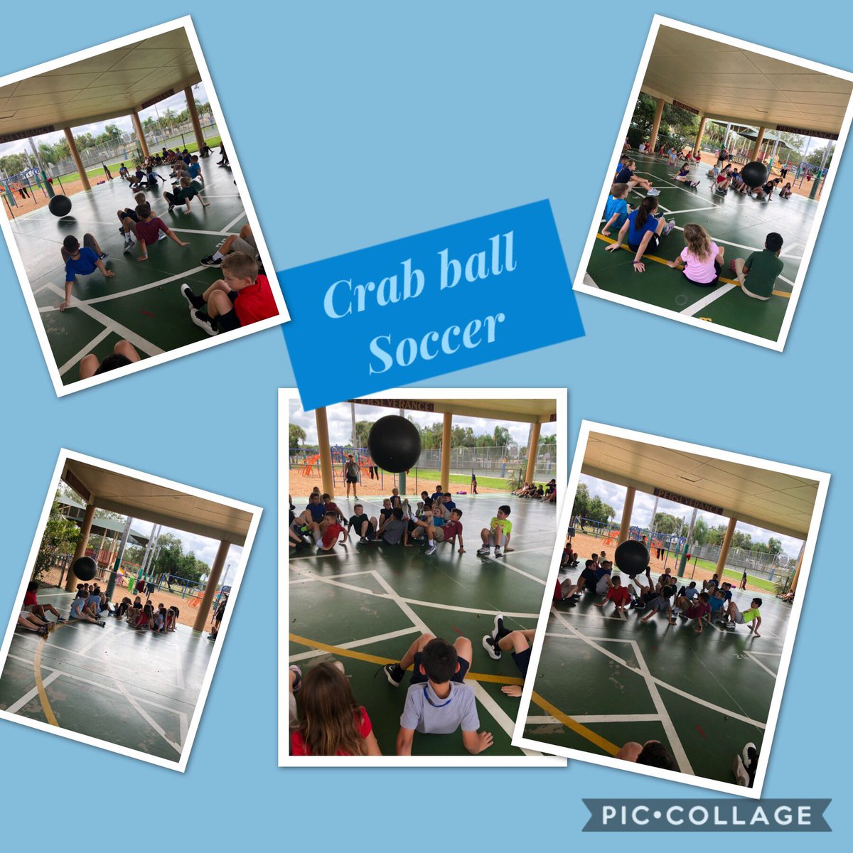 lisajnew's tweet photo. @VineyardsVipers @ccpsDRIVE2BFIT @gatoron89 @Ms_King_5 @missbokarsbunch Some crab ball soccer to improve strength and endurance! #go3rdgrade #crabball #moving #locomotor #vipers #fun #team #work https://t.co/AP8ci8QbQ9