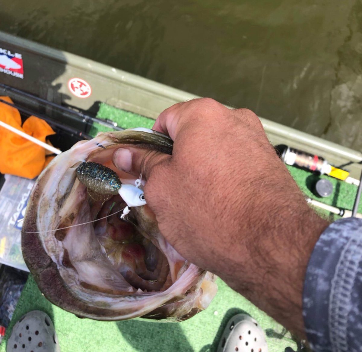 FishHead tweet media
