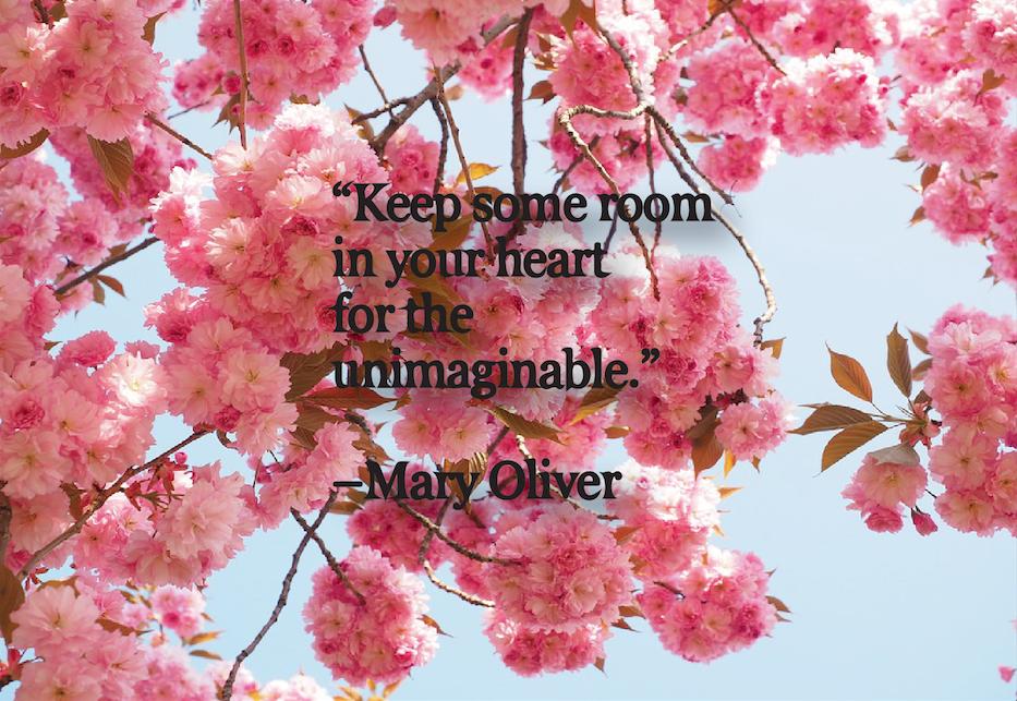 AskJayWarren's tweet photo. Keep some room in your heart for the unimaginable. -Mary Oliver https://t.co/oBMn4wg5B1
