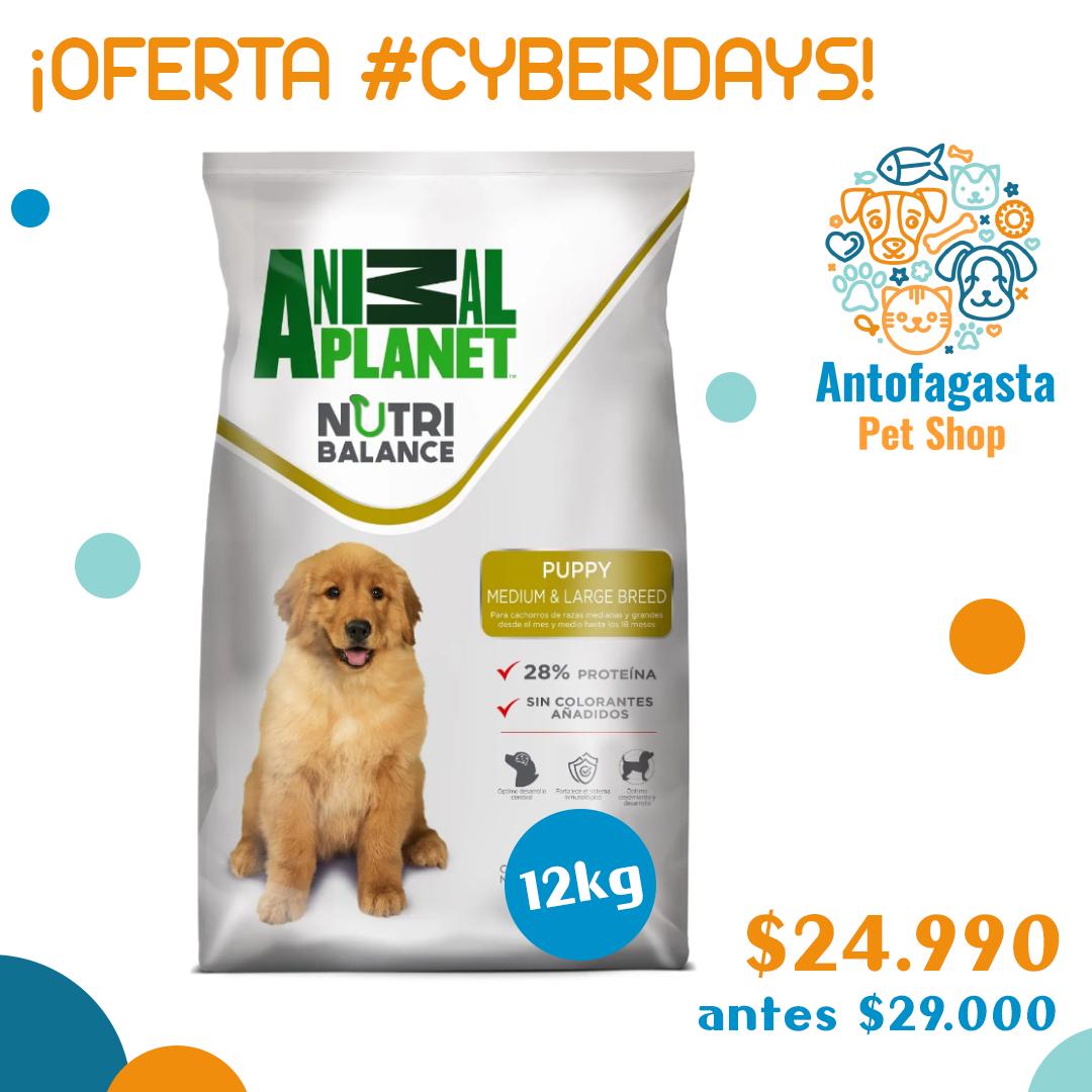 antofapetshop's tweet photo. Amigos! Desde hoy lunes 07/10 hasta el miércoles 09/10 estamos con ofertas de #cyberdays en productos seleccionados!! ¡Visita nuestra tienda y menciona la oferta!
.
#mascotas #perros #doglover #animalplanet #nutribalance #antofagasta #chile https://t.co/d8xC0K0b29