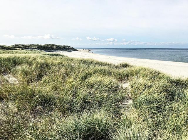 TracingKaro's tweet photo. At the northernmost tip of Germany 🌬
.
.
.
.
.
.
#beach #beachlife #dunes #sanddunes #dunegrass #whitesand #sand #sea #seaview #coast #coastline #bluesky #visiting #sylt #list #listaufsylt #sylterellenbogen #germanisland #germany https://t.co/qMGF1ykARQ https://t.co/yMzuLrFbj5