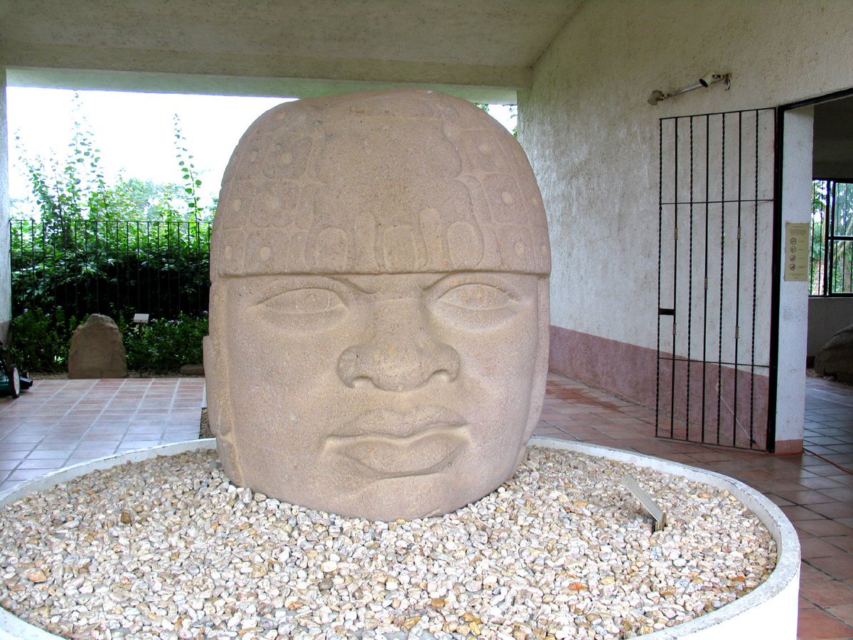 The Olmec were a culture that lived in along the southern Gulf Coast of Mexico more than 2,000 years ago.They are best known for a tradition of monumental sculptures including Colossal Heads & Altars. But did you know there's a relationship between these sculpture types? 1/13