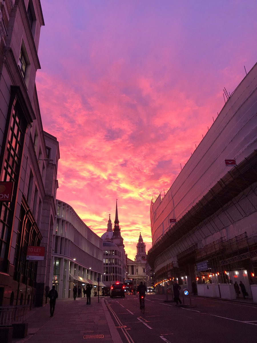 What a beauty. Running at this time of year is my absolute favourite
🍂👟 🏃‍♀️