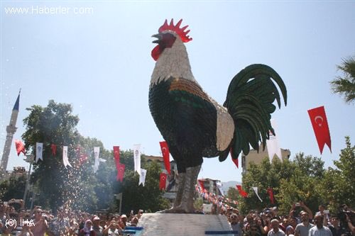 Kâh çıkarım gökyüzüne, seyrederim âlemi...                           Kâh inerim yeryüzüne, seyreder âlem beni